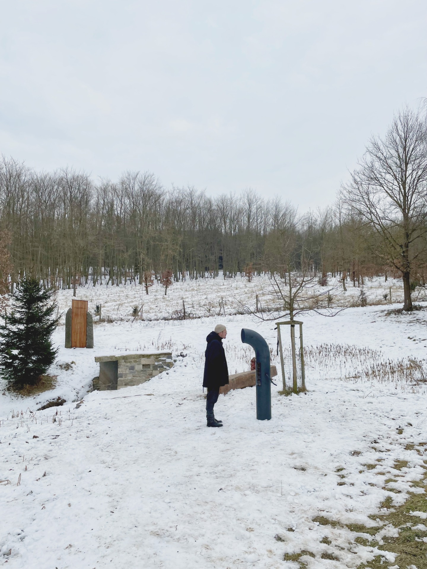 Fotografie 7 projektu Podkomorské lesy