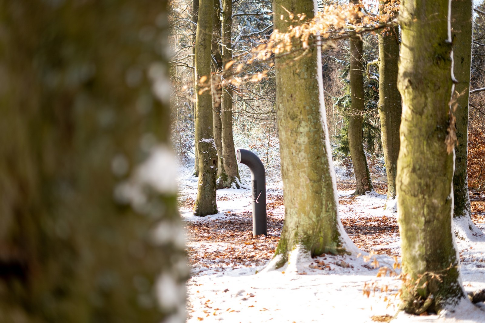 Photography 10 of project Křivoklátsko